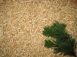 How Pine Wood Pellets Are Made