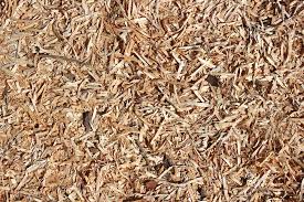 Wood Chips for Biomass Fuel