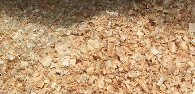 Ultimate Guide to Wood Shavings